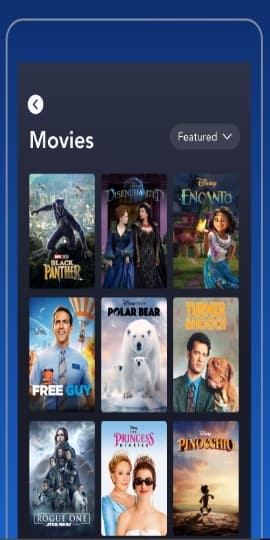 com.disney.disneyplus
